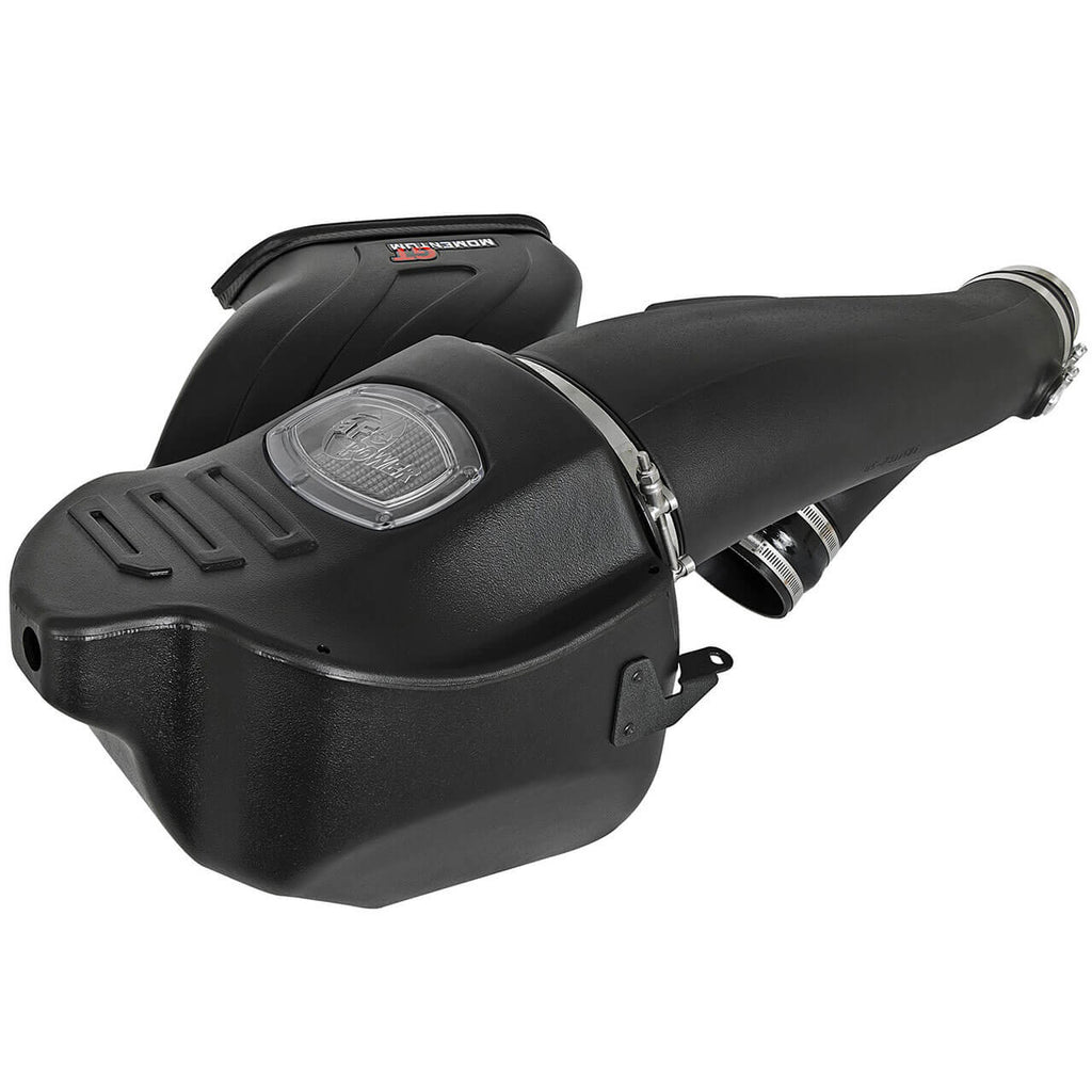 aFe POWER Momentum GT Pro Dry S Intake System, 2017-2020 F-150 Raptor - Angle 2
