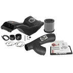 aFe POWER Momentum GT Pro Dry S Intake System, 2017-2020 F-150 Raptor - Angle 4