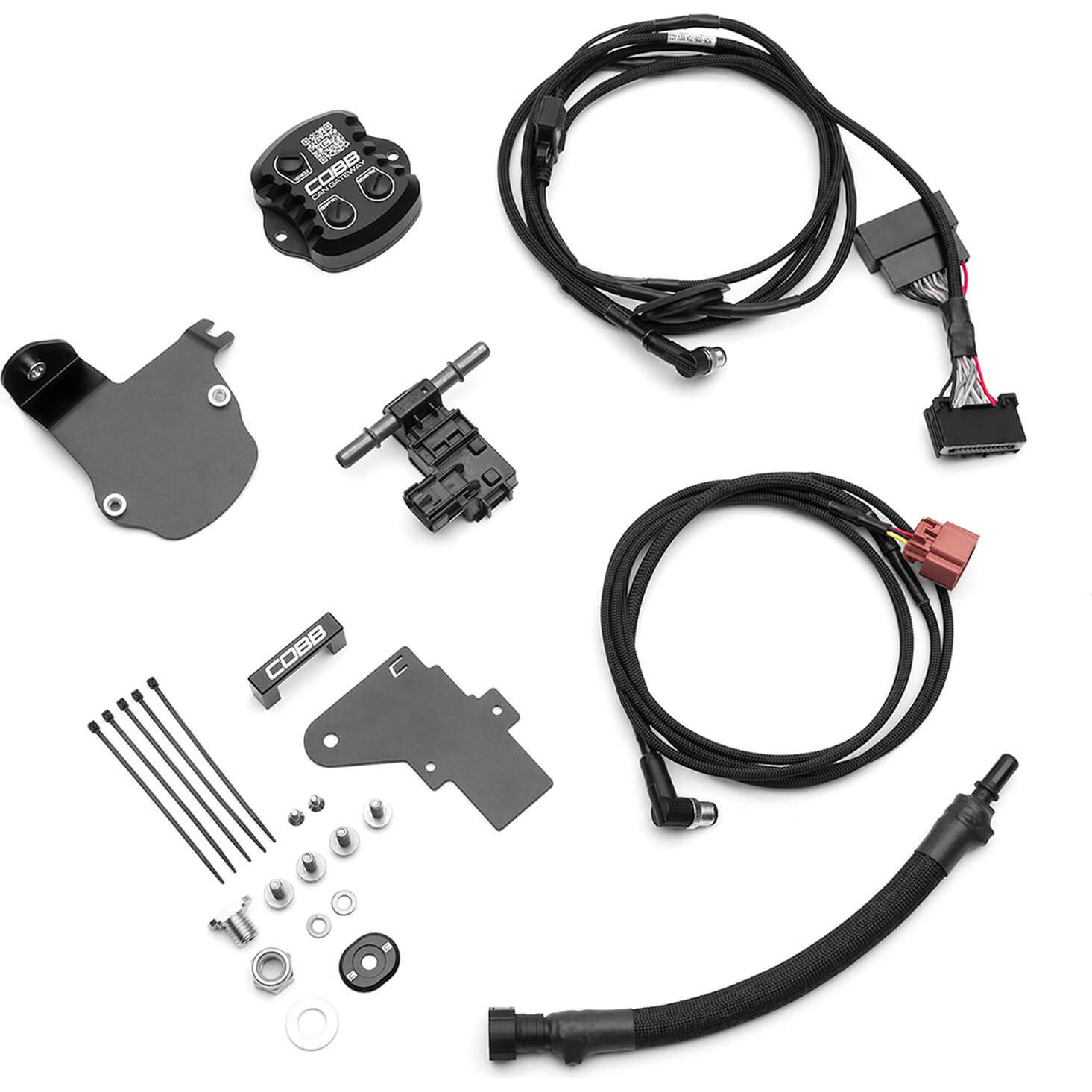 COBB CAN Flex Fuel Upgrade, 2017-2020 F-150 Raptor