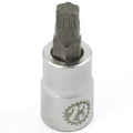 Company23 Flywheel Socket (Torx Plus 50), 2005-2010 Legacy GT
