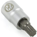 Company23 Flywheel Socket (Torx Plus 50), 2005-2010 Legacy GT - Angle 2