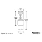 Diode Dynamics 7443 XP80 LED Turn Signal Bulbs (Amber, 510 Lumens, Pair), 2015-2025 WRX & 2015-2021 STi - Angle 3