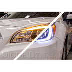 Diode Dynamics C-Lights LED Boards, 2015-2017 Outback
