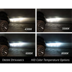 Diode Dynamics HID Bulbs D2R (4300K, Pair/2) - Angle 2