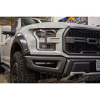 Diode Dynamics SS12 LED Fog Light Kit 12in (Driving, White), 2017-2020 F-150 Raptor - Angle 2