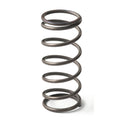 GFB EX50 EWG 9psi Spring (Middle)