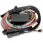 Haltech Elite 2500 + Premium Uni Wire-in Harness Kit - 2.5m (8') - Angle 2