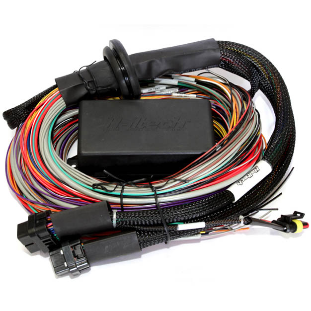 Haltech Elite 2500 + Premium Uni Wire-in Harness Kit - 2.5m (8') - Angle 2