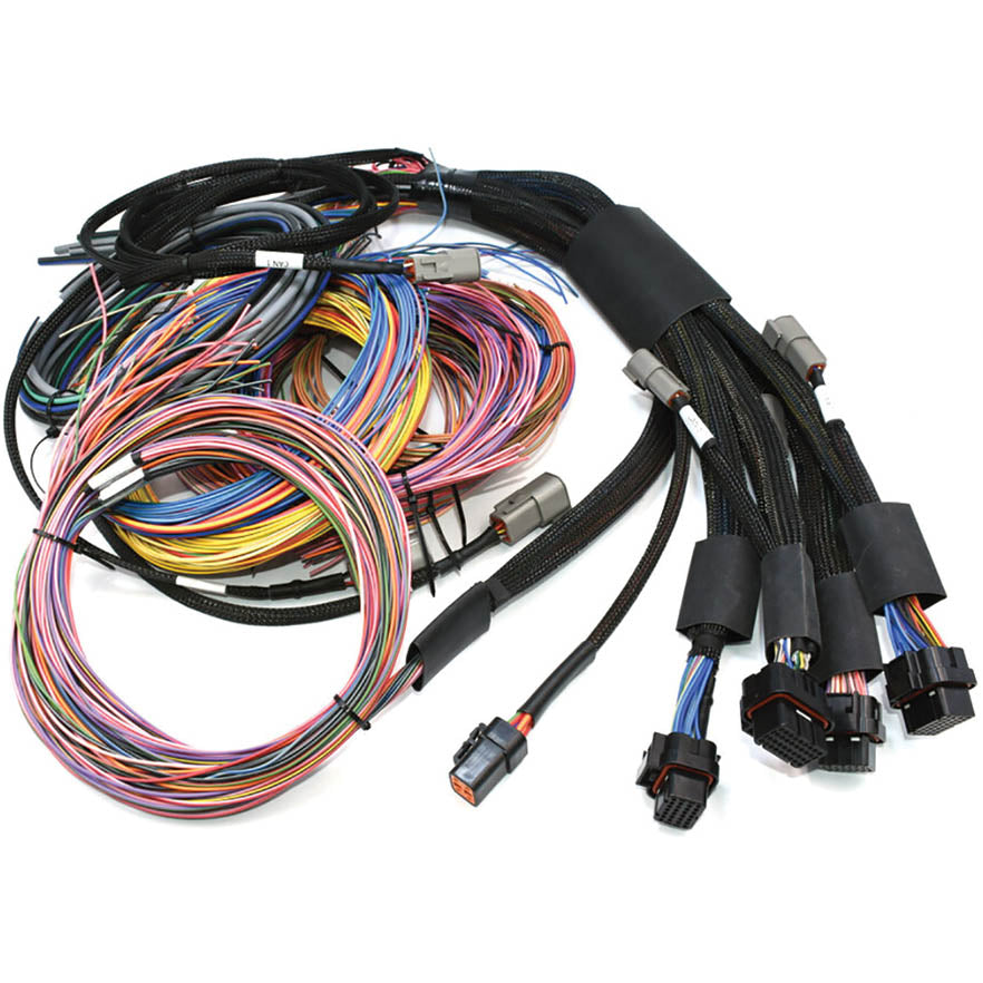 Haltech Nexus R5 + Universal Wire-in Harness Kit - 2.5m (8') - Angle 2