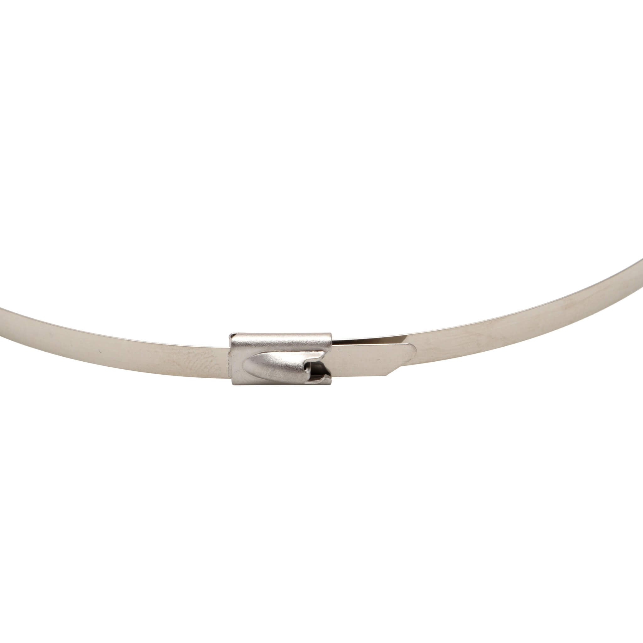 PTP Stainless Steel Locking Ties (15in, Pack/8) - Angle 2