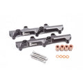 Radium Engineering Fuel Rails, 2009-2019 GT-R