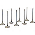 Roger Clark Motorsport Uprated Exhaust Valve Set, V1-V4 WRX/STi (1992-1998)