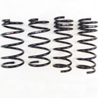 RS-R Down Sus Springs, 2013-2020 BRZ/FR-S & 2017-2020 Toyota 86
