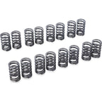 Tomei Performance Valve Spring Set, 2003-2006 EVO 8 & 9