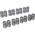 Tomei Performance Valve Spring Set, Nissan SR20DE(T)